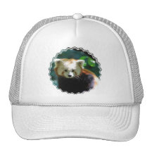 Cute Red Panda Baseball Hat