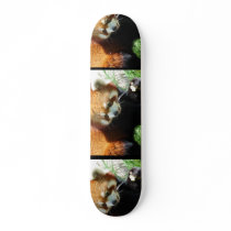 Cute Red Panda Bear Skateboard