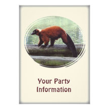 Cute Red-Ruffed Lemur Red Fur White Neck Invites