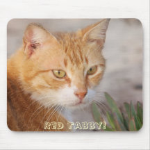 Cute! Red Tabby Cat Mousepad