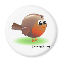 Cute Robin Fridge Magnets