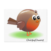Cute Robin Postcard