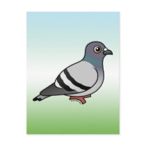 Cute Rock Pigeon Postcard