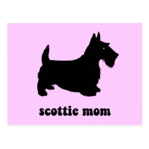 Cute Scottie Postcards