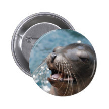 Cute Sea Lion  Button