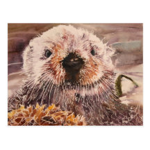 Cute Sea Otter Postcard