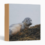 Cute Seal Pup Binder