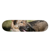 Cute Shepherd Skateboard