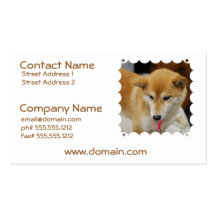 Cute Shiba Inu Business Cards