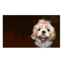 Cute Shih Tzu profile card Business Card