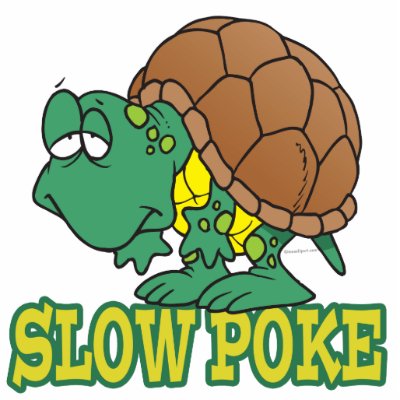 Turtle Slow