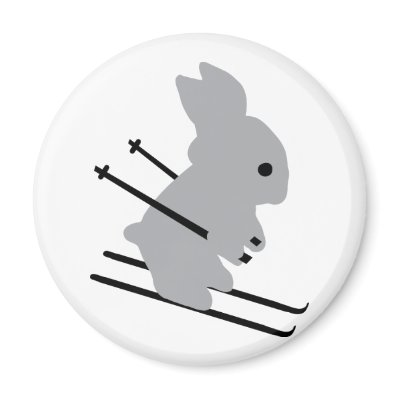 cute ski bunny  snow skiing fridge magnet by Tomaniac