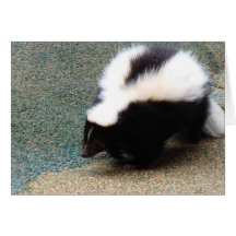Cute Skunk Greeting Card
