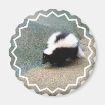 Cute Skunk Magnet