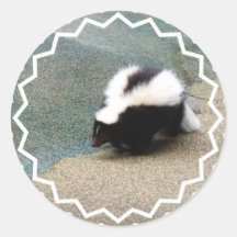 Cute Skunk Sticker