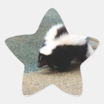 Cute Skunk Stickers