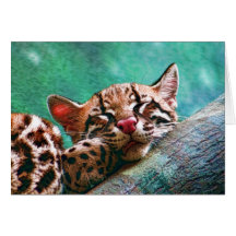 Cute Sleeping Baby Ocelot Kitten Painting Card