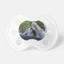 Cute Sleeping Kitten Pacifier