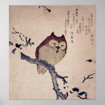 Cute Smiling Owl Japanese Print