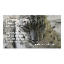 Cute Snow Leopard Business Cards