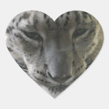 Cute Snow Leopard Stickers