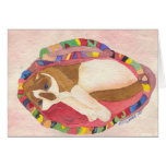 Cute Snowshoe Siamese Cat card