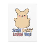 Cute Some Bunny Loves You Easter Post Cards