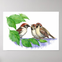 Cute Song Sparrow, Bird, Garden, Animal Nature Print
