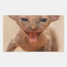 Cute sphynx kitten with tongue out rectangular sticker