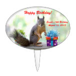Cute Squirrel and Birthday Presents Cake Pick