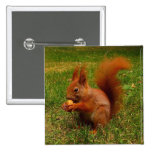 Cute Squirrel Button
