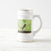 Cute Squirrel Doing Tai Chi Coffee Mugs