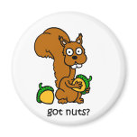 Cute squirrel got nuts