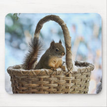 Cute Squirrel in a Basket in Winter Mousepads