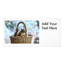 Cute Squirrel in a Basket in Winter Photo Greeting Card