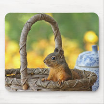 Cute Squirrel in a Basket Mouse Pad