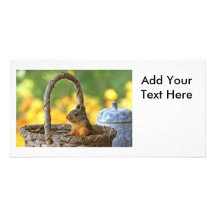 Cute Squirrel in a Basket Photo Card Template