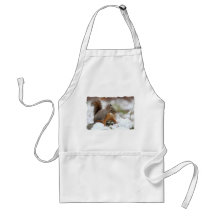 Cute Squirrel in Snow with Peanut Apron