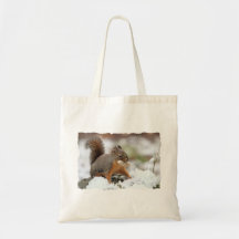 Cute Squirrel in Snow with Peanut Bag