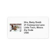 Cute Squirrel in Snow with Peanut Custom Address Labels