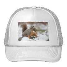 Cute Squirrel in Snow with Peanut Mesh Hat