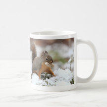 Cute Squirrel in Snow with Peanut Mug