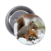 Cute Squirrel in Snow with Peanut Pin