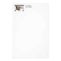 Cute Squirrel in Snow with Peanut Stationery Design