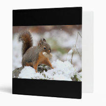 Cute Squirrel in Snow with Peanut Vinyl Binder