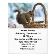 Cute Squirrel in Winter Announcement