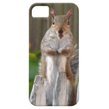 Cute Squirrel iPhone 5 Cases
