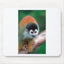 Cute squirrel monkey Panama tropical rainforest Mouse Pads