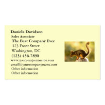 Cute Squirrel on a Cookie Jar Business Card Templates