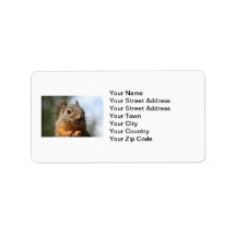Cute Squirrel Smiling Closeup Photo Address Label